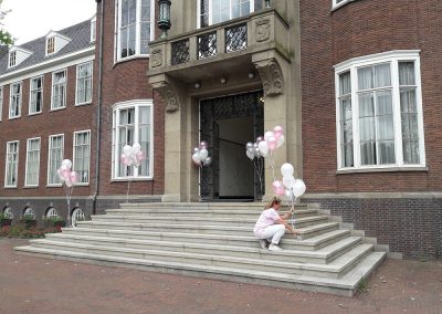 Ballonpilaren gemeentehuis